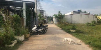 Ấp 5 Tam An sát an Phước ngay cầu Ninh Hương