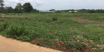 Chính chủ cần bán  Giá 800tr/sao không bao thuế