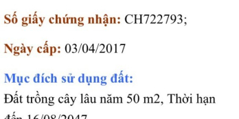 Bán đất vườn hồ sinh thái lộc an, long thành, Đồng nai