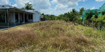 Bán 500m2 đất mặt tiền đường huyện 30 lấy tiền trang trải mùa dịch