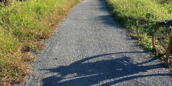 Gần 7 công đất vườn + ruộng, mặt tiền lộ oto tới đất giá siêu mềm cho khách