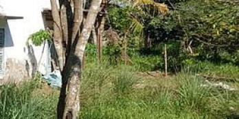 Bán 6.571m2 đất chính chủ mt ql60 MCB