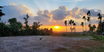 ất view đẹp như này mà giá chỉ có 289tr/ lô mà không đầu tư thì tiếc lắm anh chị