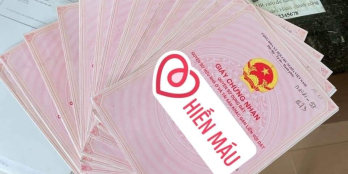 ?? Đất Đức Hiệp xinh như Ngọc Trinh - Dt 6.5 x 39m gần 200m đất ở