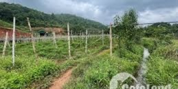 Cần bán đất Thị trấn Nông trường Mộc Châu