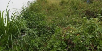 Cần bán lô đất tái định cư Phước Lợi, Phước Đồng