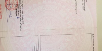 Chủ cần tiền cần bán hai Lô đất xã Phú Đông tổng dt 412m