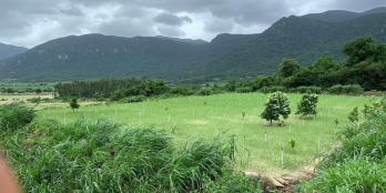  Bất động sản 3 Mặt Tiền Đường Tỉnh Lộ 1B