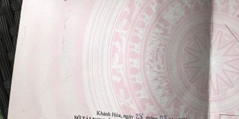 Lô này ninh Phụng 140m2 ngang 7m Đường bê tông 4 mét