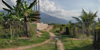 Cần bán lô đất Ninh Hưng, Ninh Hoà, Diện tích: 1.109,9m2, ngang 28m dài 30m