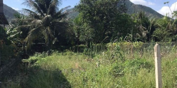 Bán đất thôn Tân Đảo, Ninh Ích, Ninh Hoà.