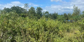 Bán gấp lô đất full thổ chia được 3 lô??