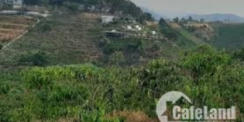 BÁN LÔ ĐẤT XÃ CÁT TRINH , huyện phù cát. Vị trí nằm trung tâm xã cát trinh -