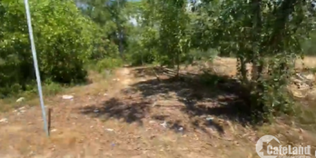 Bán đất mặt tiền đường nhựa tại Cát Lâm - Phù Cát khu buôn bán sầm uất nè ace