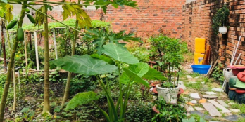 Lô đất biệt thự DT: 7m x 14m. Khu Nguyễn Duy Cung, P12, Gò Vấp. Giá: 4.15 tỷ