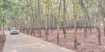 ALO ALO A/C ƠI !!! ĐẤT NÈ!! Chỉ với 5️9️0️tr có ngay lô đất 1️5️0️