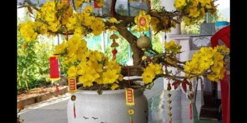 Bán Đất gần ks âu cơ BTX Phú Tài .khu dân cư đông đúc  Diện tích 53.5m2