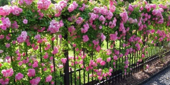 Bán Lô Góc Trần Đại Nghĩa View Đông Nam nhìn ra hồ nước mát quanh năm