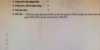 VỊ TRÍ: 161 TRẦN ĐẠI NGHĨA ,PHÚ TÀI, PHƯỜNG TRẦN QUANG cần bán lô đất