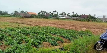 bán lô đất cực đẹp ở Tịnh Hà, Sơn Tịnh