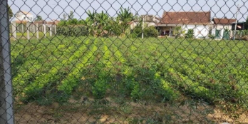 BÁN ĐẤT TỊNH ẤN TÂY Sổ hồng có sẵn, công chứng ngay.