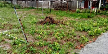 Nợ dí bán nhanh trong tuần lô đất Ấn Tây để trả nợ mùa dịch