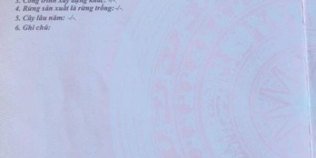 Cần bán vườn BHK Tịnh An TPQN đường ô tô giá siêu hot cuối năm