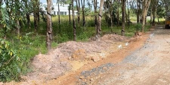 LÔ ĐẤT Ở THẠNH BÌNH TÂN BIÊN TÂY NINH