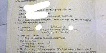 Bán lô đất cực đẹp ở Tây sơn cho bà con cô bác xây nhà định cư lâu dài