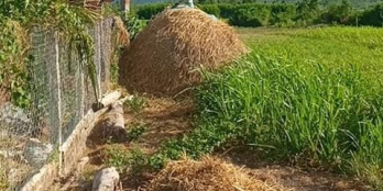 Chính chủ kẹt tiền, cần ra nhanh lô đất xã Tây Giang xã lỗ cho ae