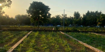 BÁN GẤP LÔ 60m2 PHÚC TIẾN - THẠCH THẤT - HN, giá chỉ 900 TRIỆU