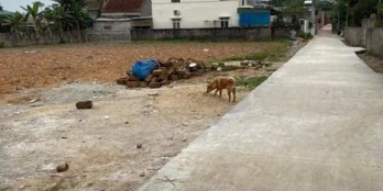 GIA ĐÌNH CẦN TIỀN BÁN NHANH LÔ ĐẤT XÓM 4 NGHĨA THUẬN- THÁI HOÀ