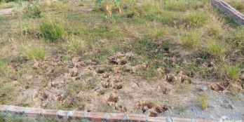 Chính chủ cần bán mảnh đất thổ cư 47m2 (nở hậu)