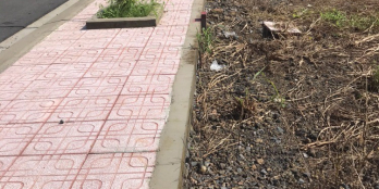 ĐẤT ĐẦU TƯ GẦN KCN DẦU GIÂY (SHR THỔ CƯ 100%)