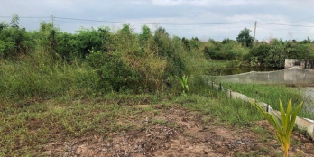 Cần bán 1nền ấp Giồng Nhãn A. Hiệp Thành Diện tích 7x50m2