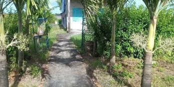 Cần tiền nên bán 18.6 công vuông ở vĩnh hậu hoa bình