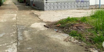 Bán 1001m2 Đất Đường ô Tô Tại Xã Phú Nhuận thành phố Bến Tre.