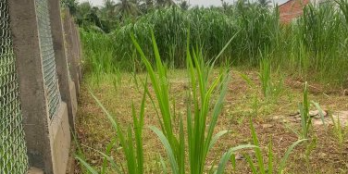 Bán đất nền biệt thự hạ tầng hoàn chỉnh có thổ cư sẵn sàng xin giấy phép xây dựn