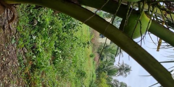 Cần bán gấp mãnh đất vườn thích hợp đầu tư và nghĩ dưỡng