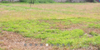 Đất Thành phố Bến Tre cạnh KDT Hưng Phú