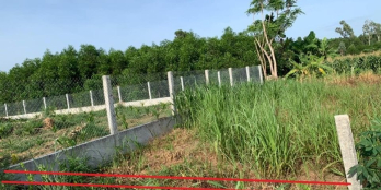 Lô đất phong niên hạ 4xx triệu giá rẻ