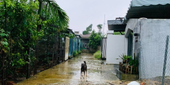 ĐẤT ĐẸP, LÀNG CAFE NGUYỄN CÔNG PHƯƠNG, TRUNG TÂM TP: