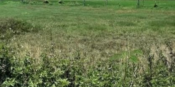 Hơn 1.500m2 đất tại xã Nghĩa Dũng trong đó 100m2 đất ở phù hợp làm nhà vườn