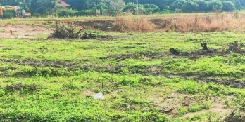 View kênh . Phường Ninh Thạnh . TP Tây Ninh .