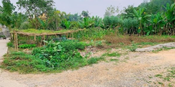 Chính chủ bán lô đất cách mặt đường Hồ Đắc Di 50m - Ngõ 208 ( P. Tân Thịnh )