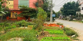 Lô đất 2 mặt tiền Vị trí: Tổ 3 - Phường Quang Trung