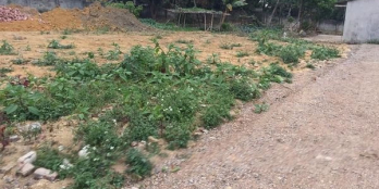 Đất đối diện UBND Phường Tích Lương 87.8m2, 2 mặt tiền