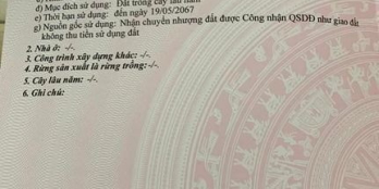 Đất hẻm phường 3 188m2 .Từ lộ nhựa vô 40m