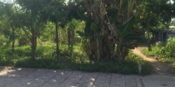 3 Nền liền Kề Mặt Tiền Mậu Thân 2  Giá 34 triệu 1 mét quá rẻ so với khu vực