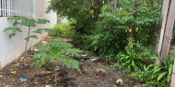 Đất CLN phường 3, hẻm xe 3 gác giá rẻ bèo